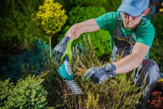 landscaping services Savannah